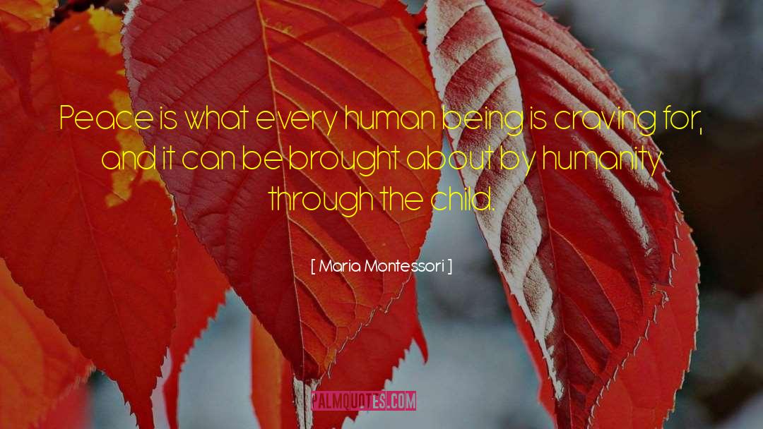 Human Accessory quotes by Maria Montessori