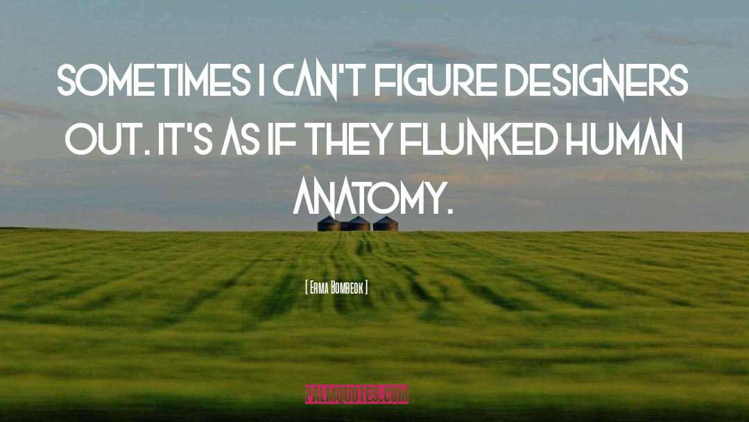 Human Anatomy quotes by Erma Bombeck