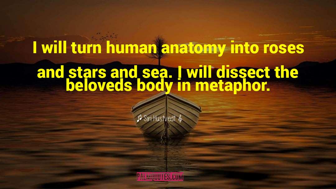 Human Anatomy quotes by Siri Hustvedt