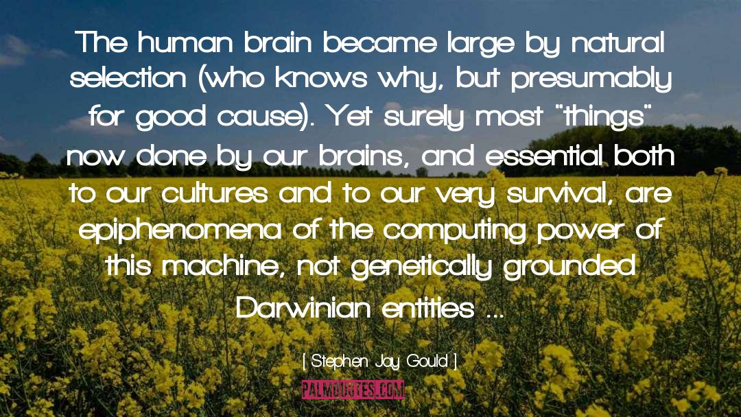 Human And Machine To Thrive quotes by Stephen Jay Gould