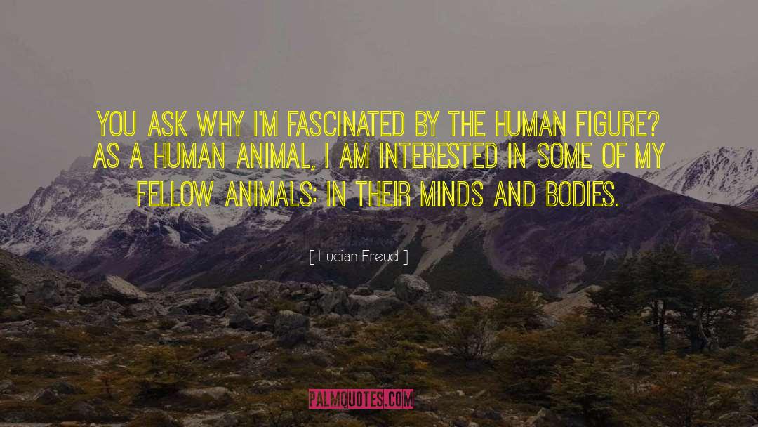 Human Animal quotes by Lucian Freud
