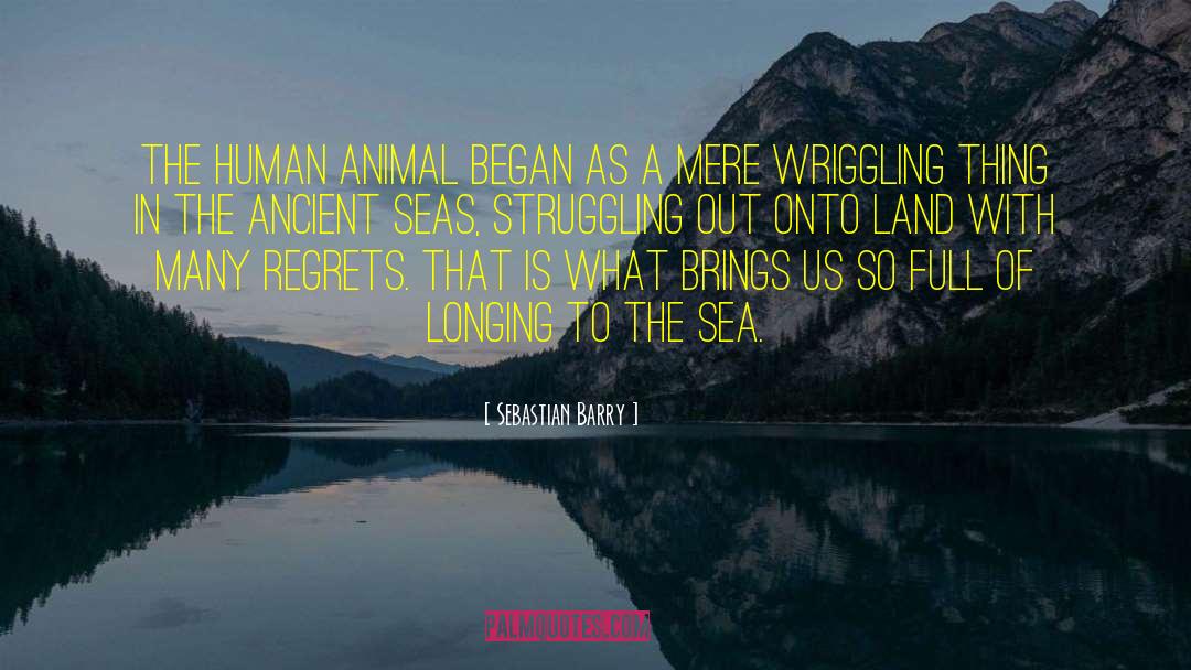 Human Animal quotes by Sebastian Barry