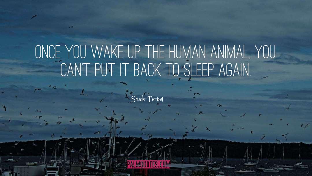 Human Animal quotes by Studs Terkel