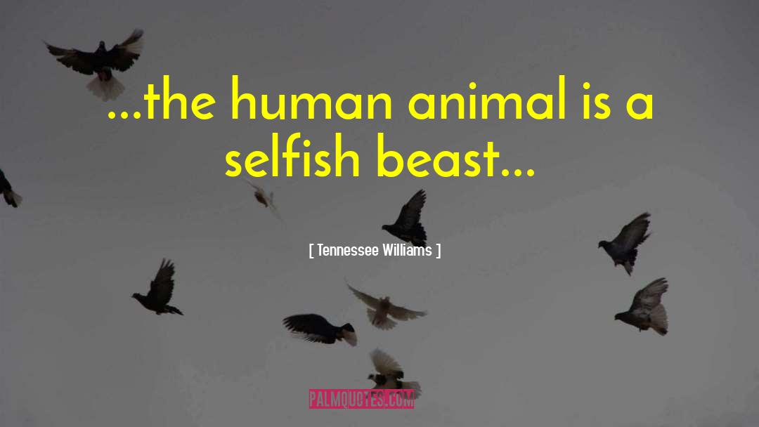 Human Animal quotes by Tennessee Williams