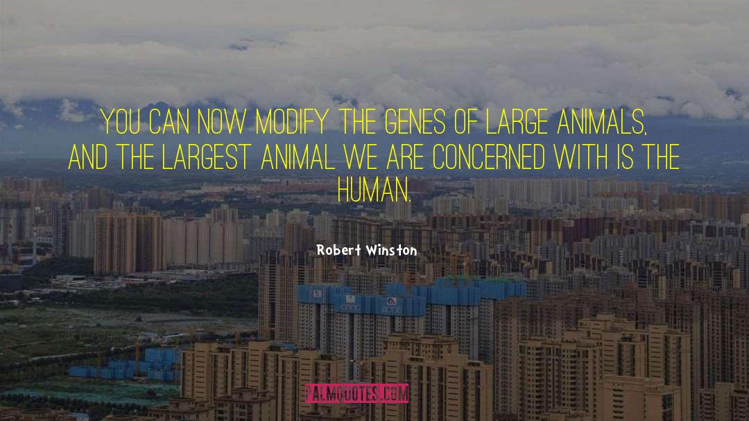Human Animal quotes by Robert Winston