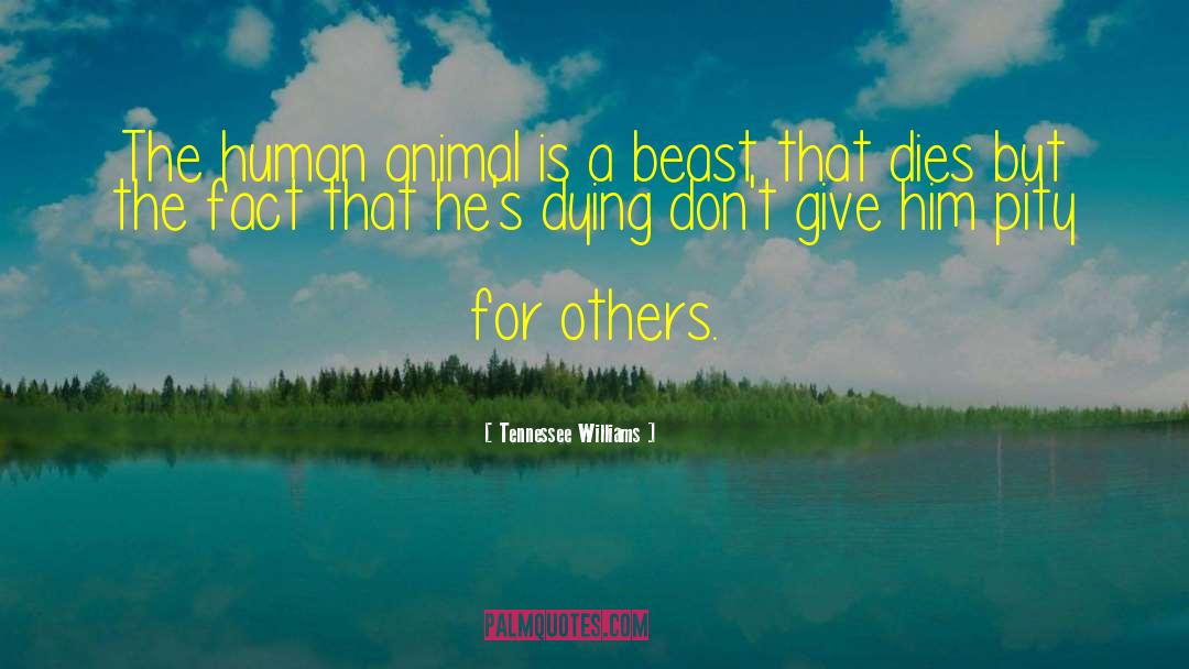 Human Animal quotes by Tennessee Williams