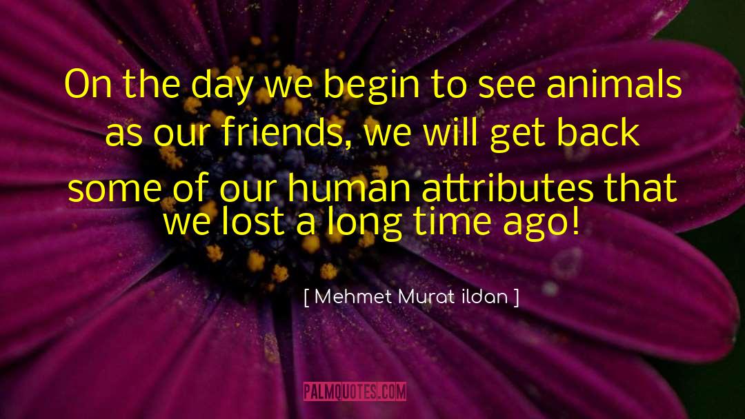 Human Animal Relationships quotes by Mehmet Murat Ildan