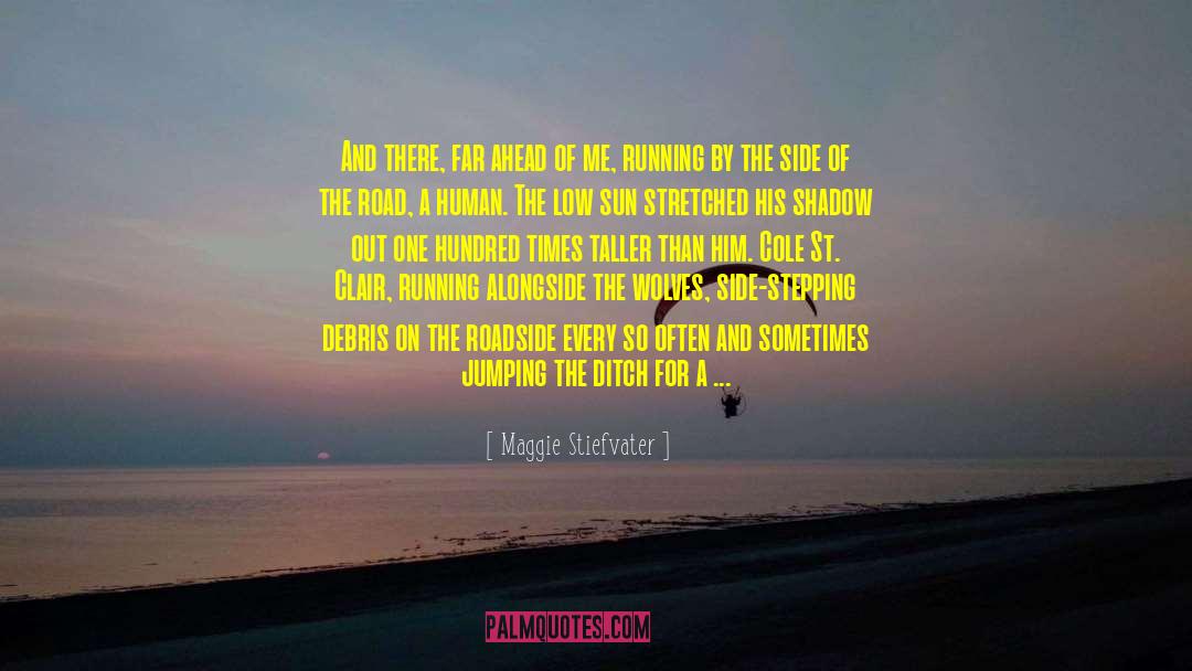 Human Behaviour quotes by Maggie Stiefvater