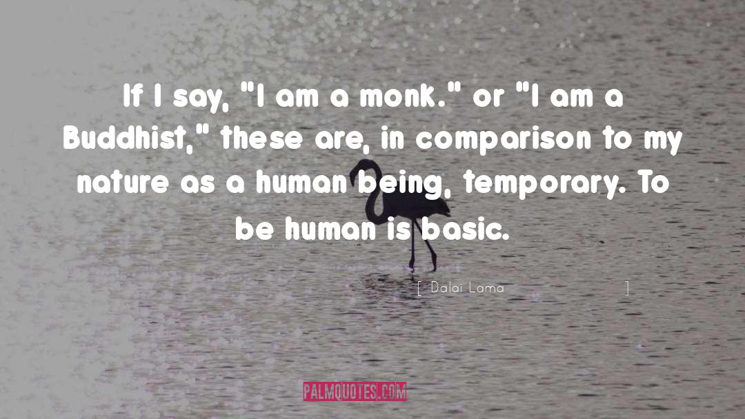 Human Being quotes by Dalai Lama