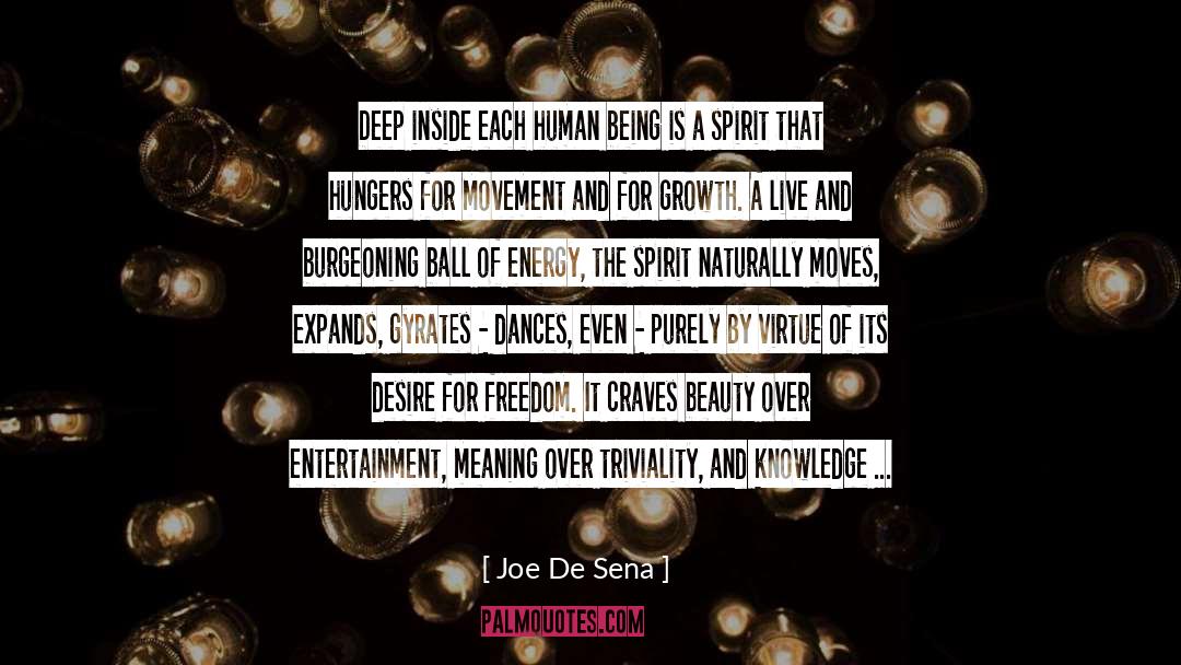 Human Being quotes by Joe De Sena