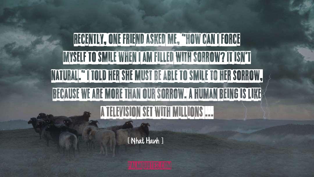 Human Being quotes by Nhat Hanh