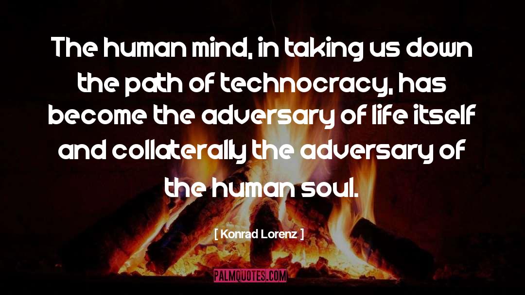 Human Beings quotes by Konrad Lorenz