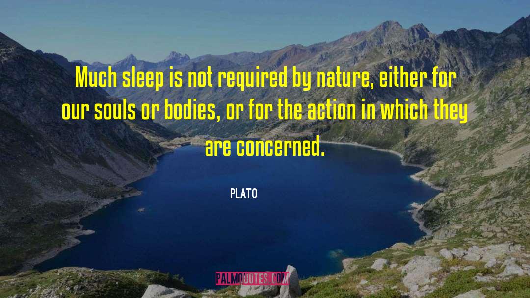 Human Bodies Soul quotes by Plato