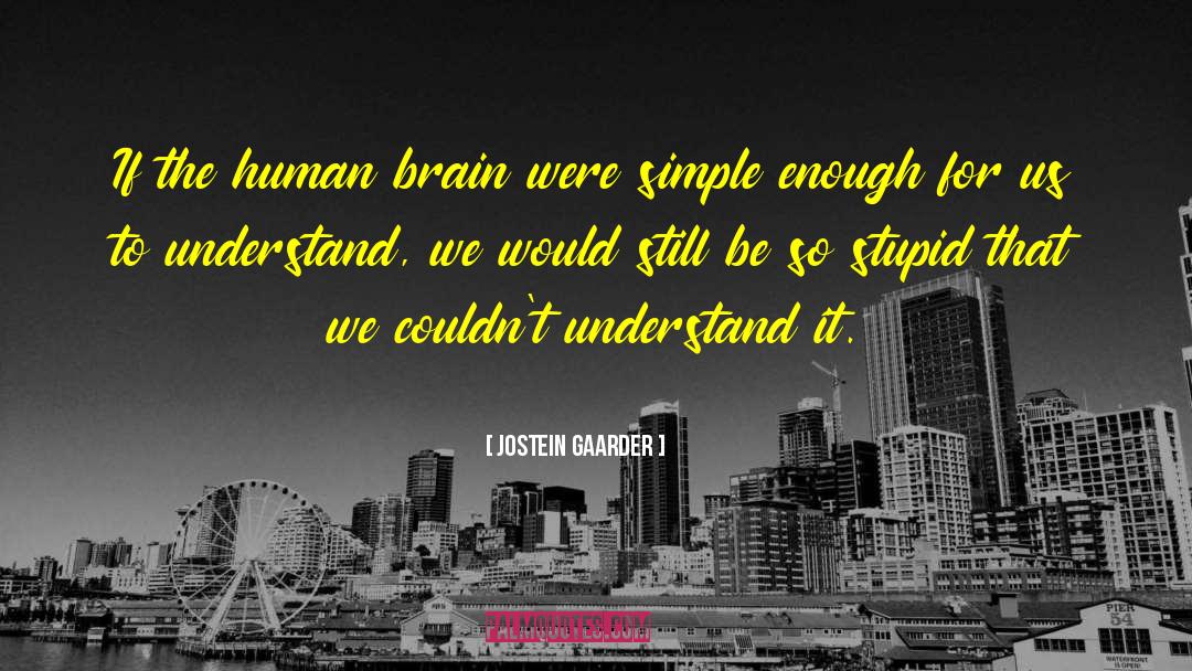 Human Brain quotes by Jostein Gaarder