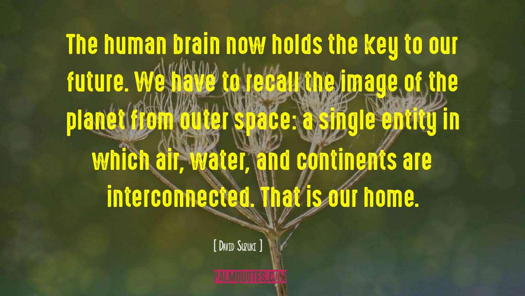 Human Brain quotes by David Suzuki
