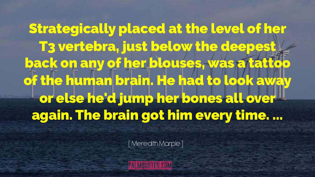 Human Brain quotes by Meredith Marple