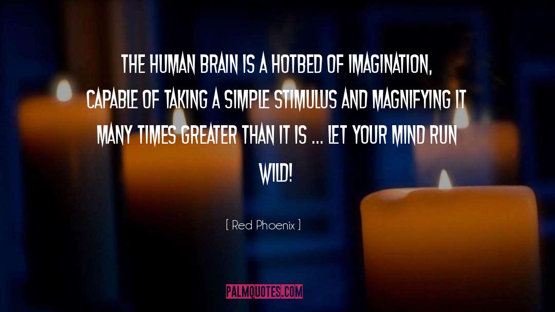 Human Brain quotes by Red Phoenix
