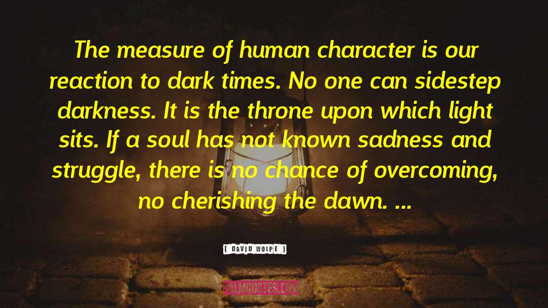 Human Character quotes by David Wolpe