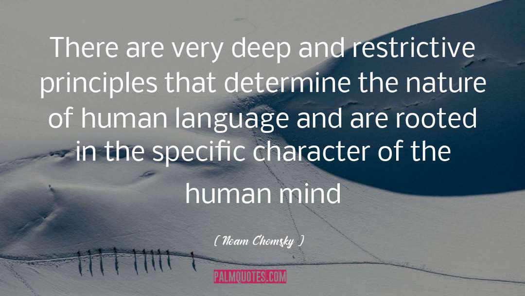Human Characteristics quotes by Noam Chomsky