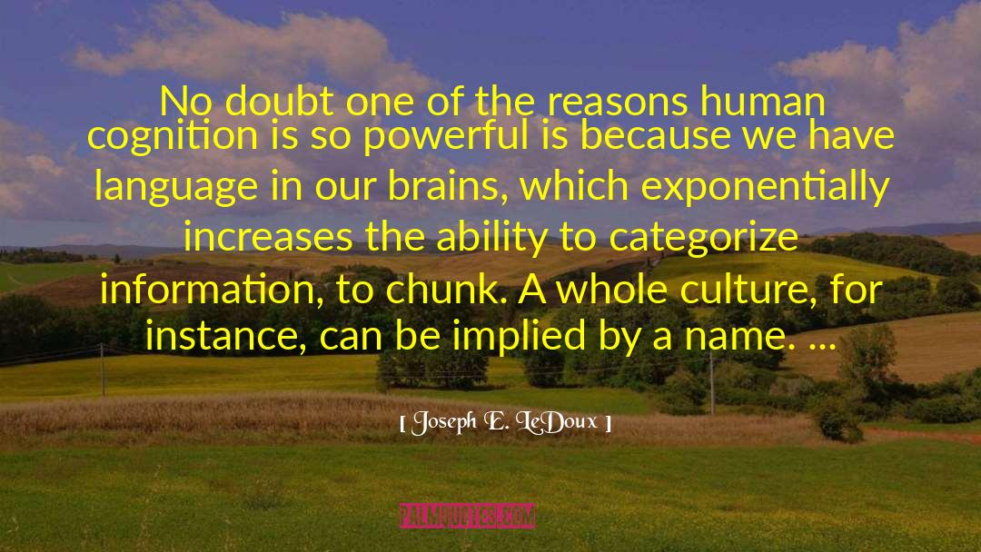 Human Cognition quotes by Joseph E. LeDoux
