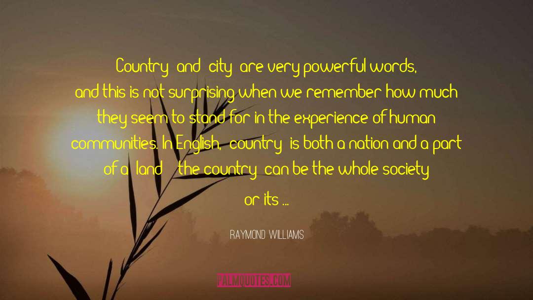 Human Communities quotes by Raymond Williams