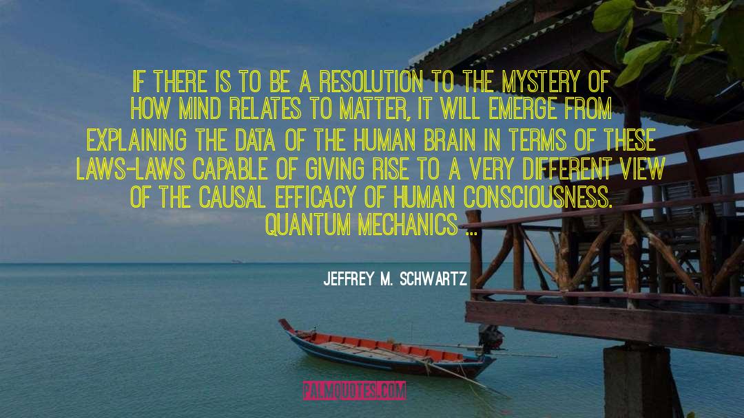 Human Consciousness quotes by Jeffrey M. Schwartz