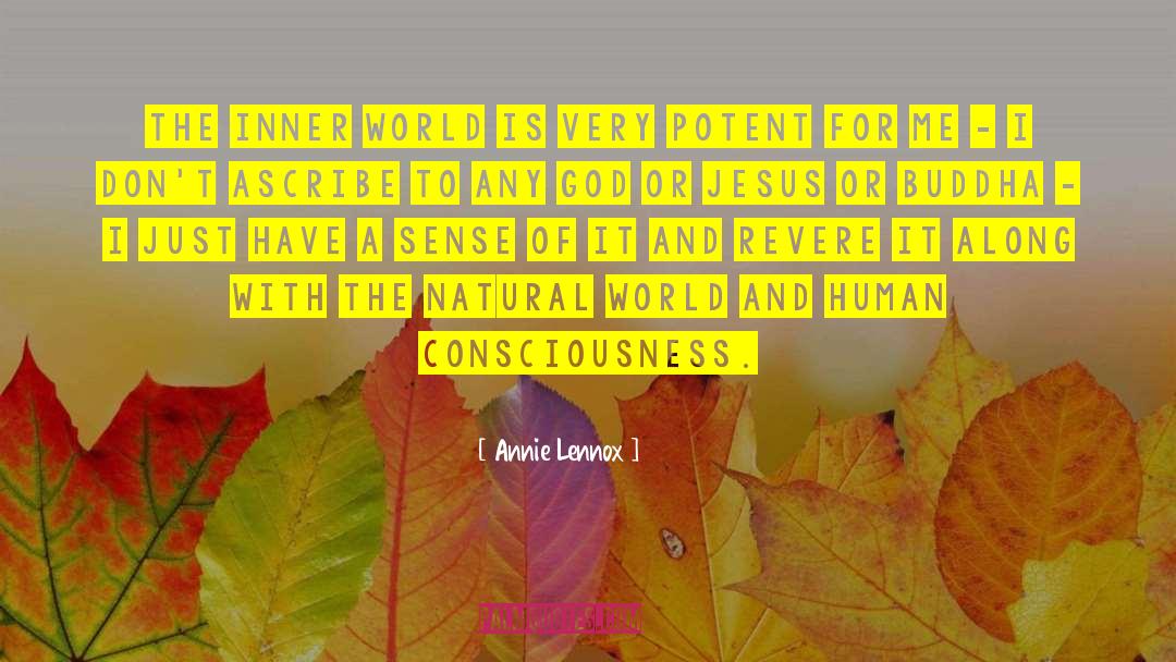 Human Consciousness quotes by Annie Lennox