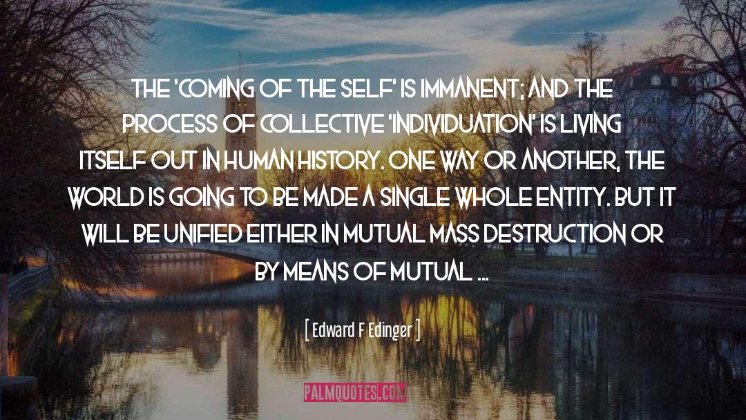 Human Consciousness quotes by Edward F Edinger