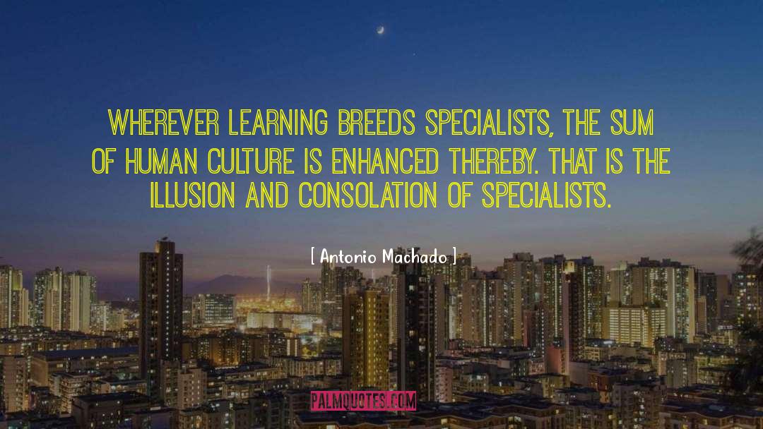 Human Culture quotes by Antonio Machado