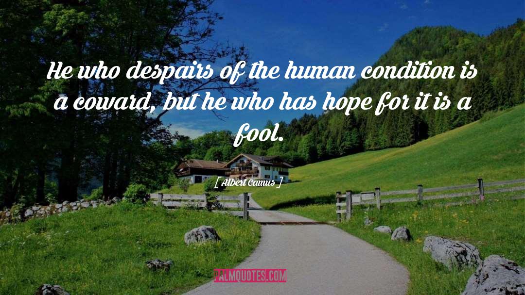 Human Despair quotes by Albert Camus