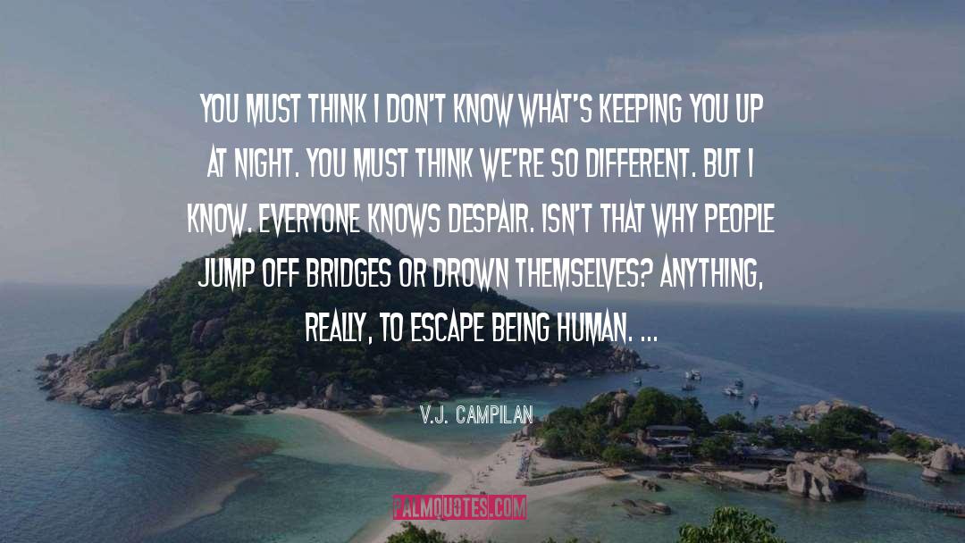 Human Despair quotes by V.J. Campilan