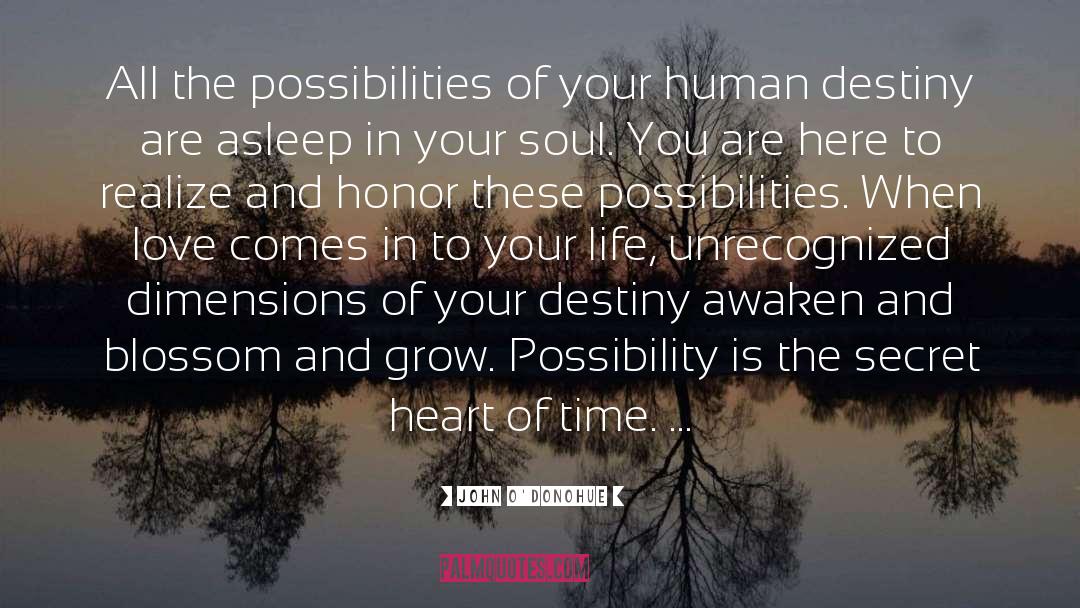 Human Destiny quotes by John O'Donohue