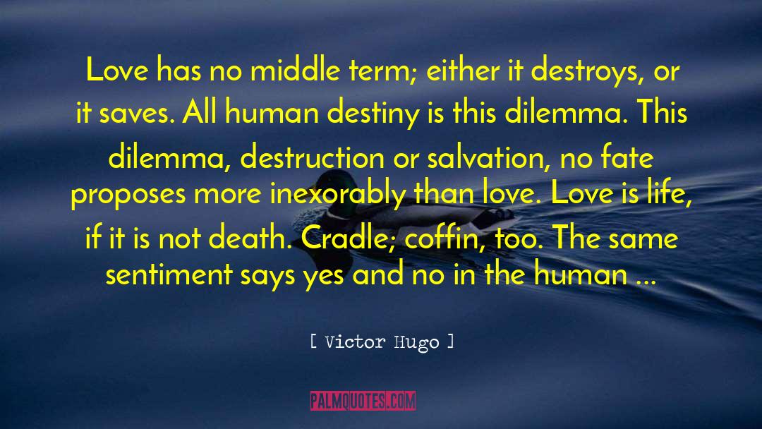 Human Destiny quotes by Victor Hugo