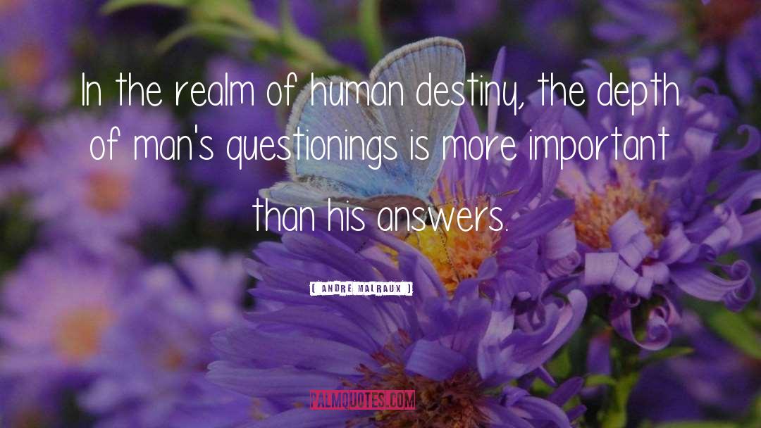 Human Destiny quotes by Andre Malraux