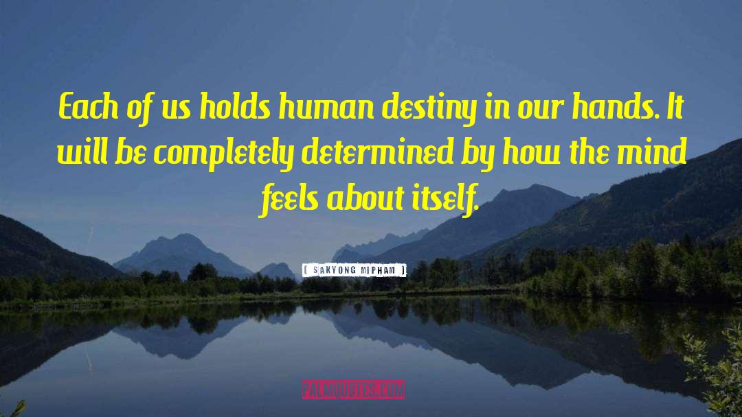 Human Destiny quotes by Sakyong Mipham