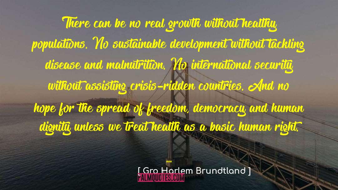 Human Dignity quotes by Gro Harlem Brundtland
