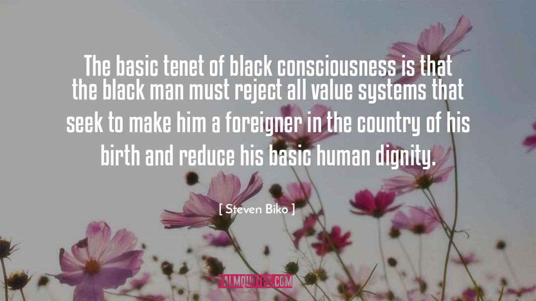 Human Dignity quotes by Steven Biko
