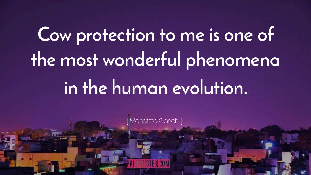 Human Evolution quotes by Mahatma Gandhi