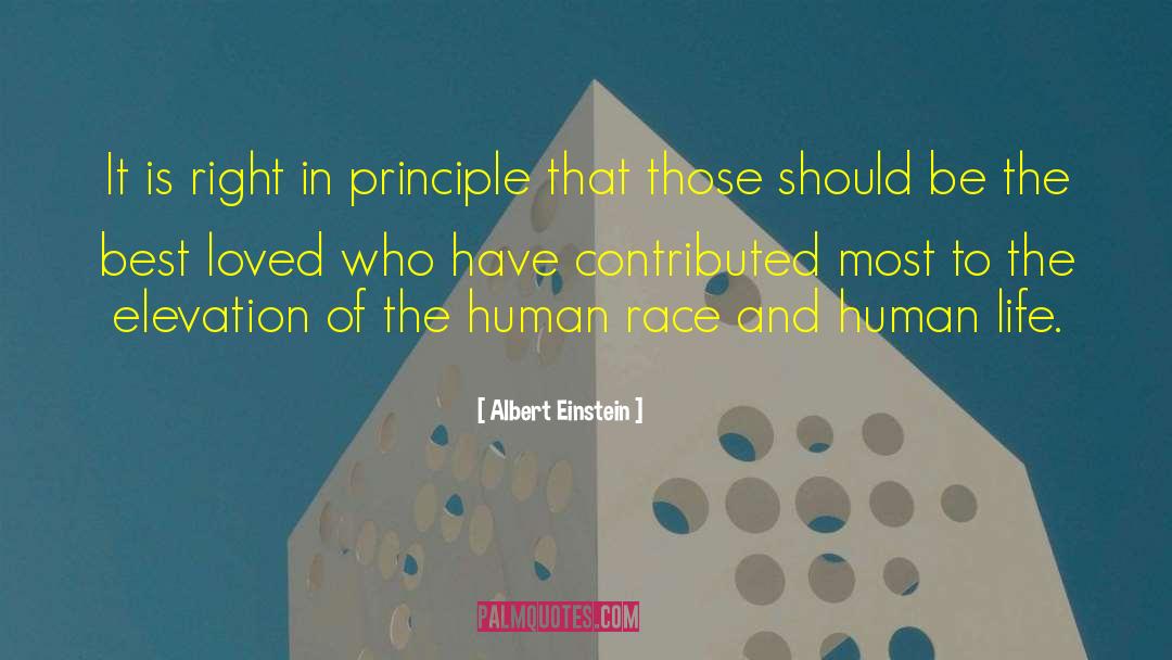 Human Excellence quotes by Albert Einstein