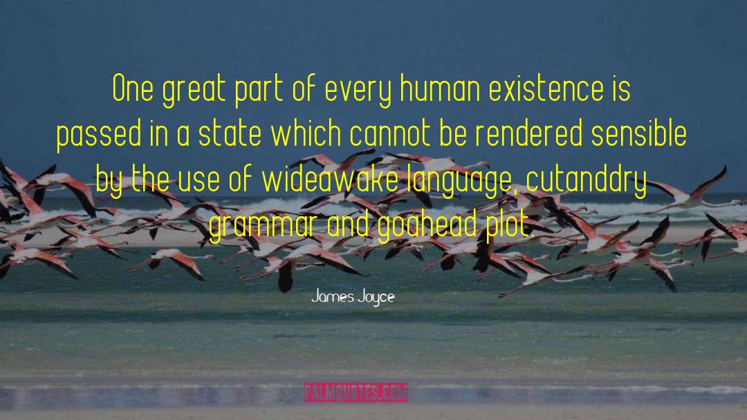Human Existence quotes by James Joyce