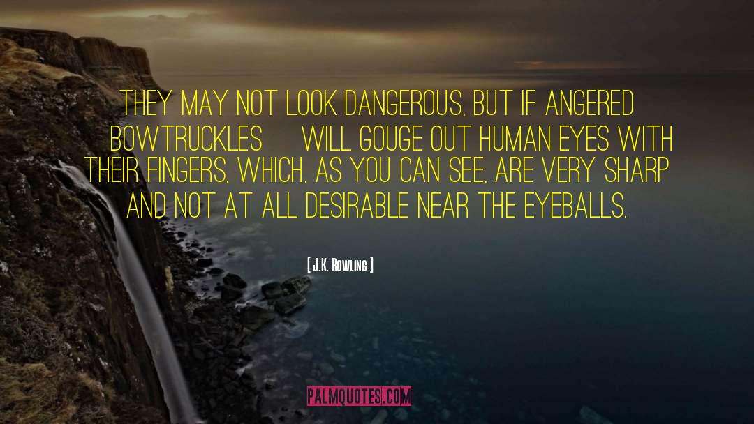 Human Eyes quotes by J.K. Rowling