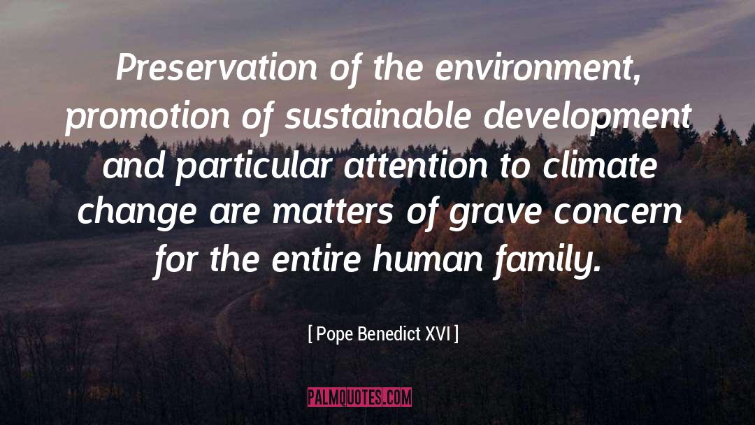 Human Family quotes by Pope Benedict XVI