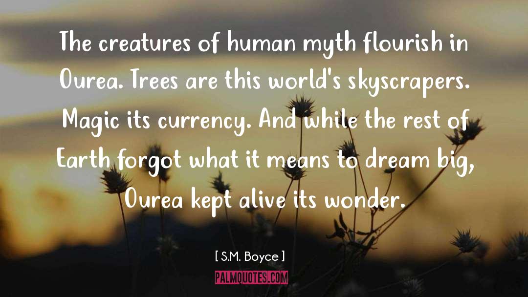 Human Flaws quotes by S.M. Boyce