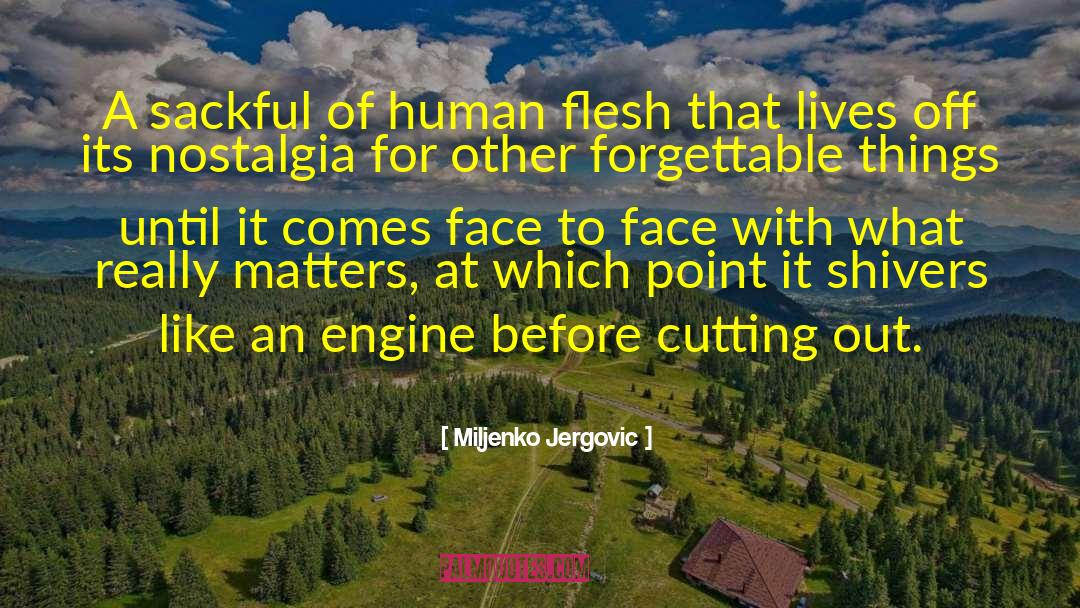 Human Flesh quotes by Miljenko Jergovic