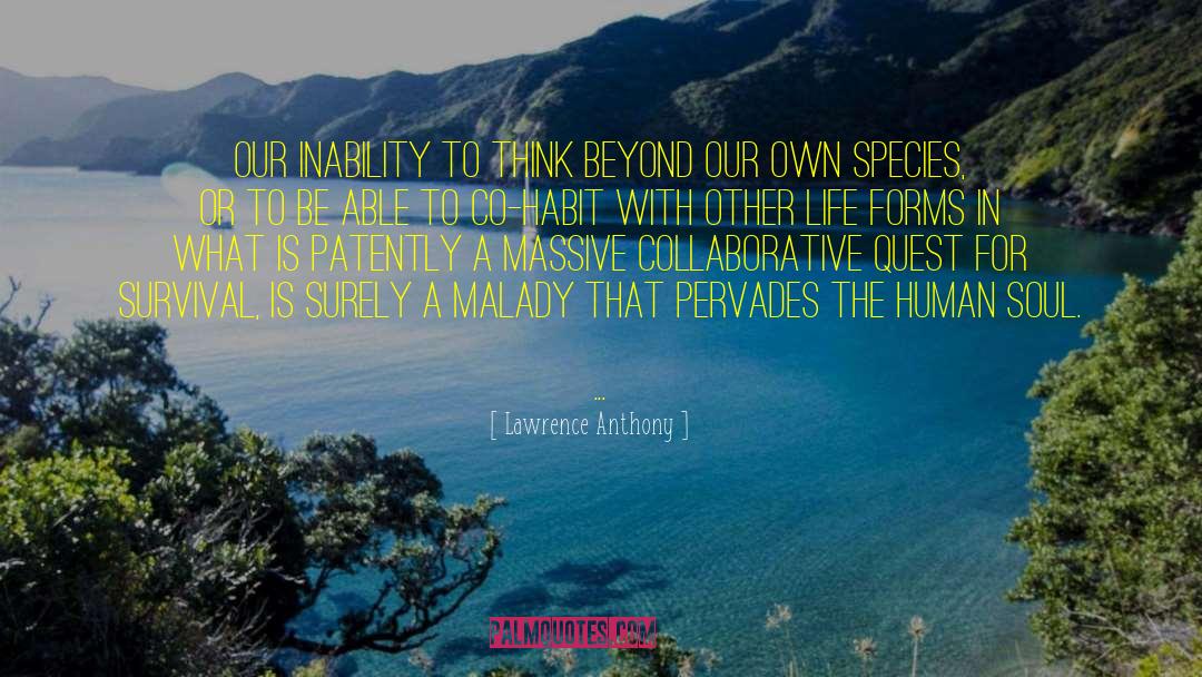 Human Focus quotes by Lawrence Anthony
