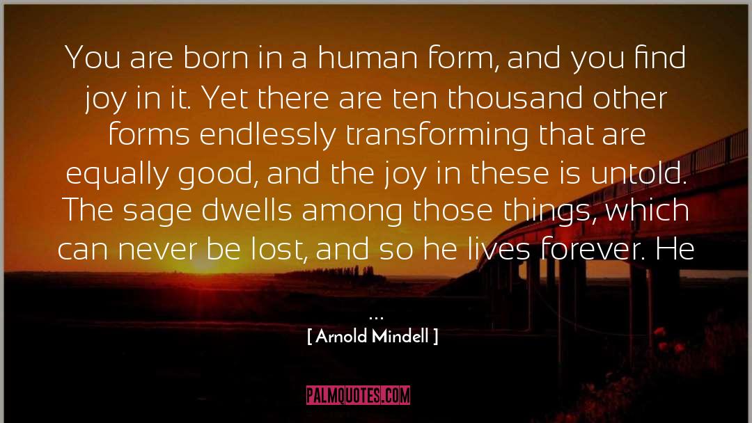 Human Form quotes by Arnold Mindell