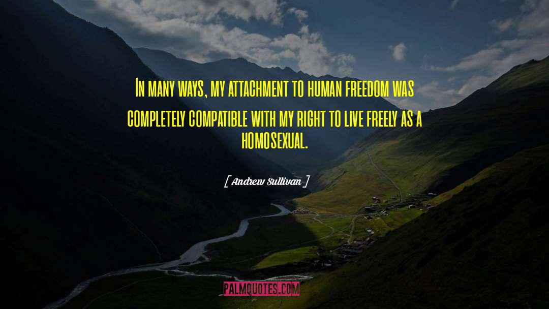 Human Freedom quotes by Andrew Sullivan