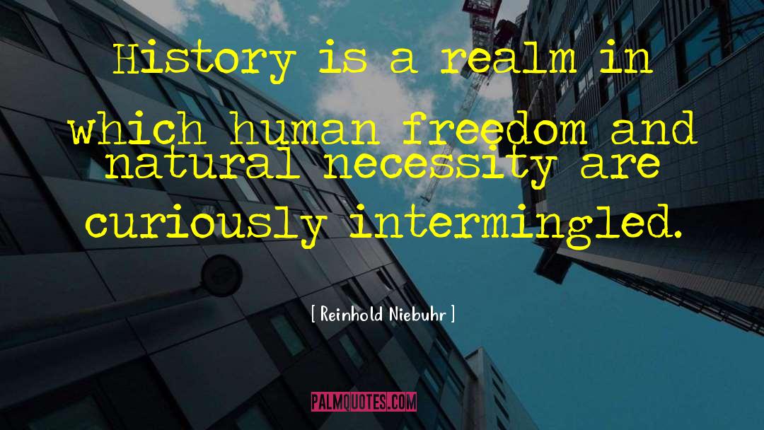 Human Freedom quotes by Reinhold Niebuhr