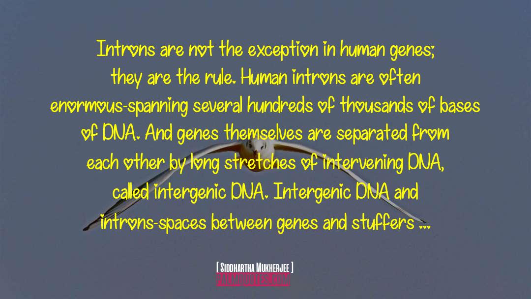 Human Genome Project quotes by Siddhartha Mukherjee