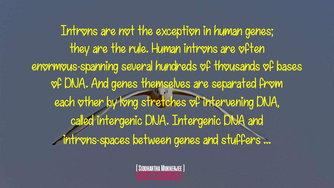Human Genome quotes by Siddhartha Mukherjee